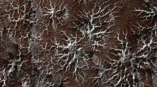 Pająkowe formy na powierzchni Marsa