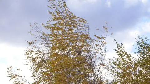 Wiatr może być niebezpieczny