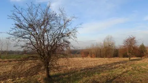 Na ogół będzie pogodnie