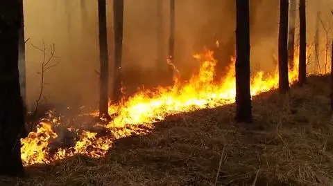 W niedzielę pod Warszawą wybuchł pożar