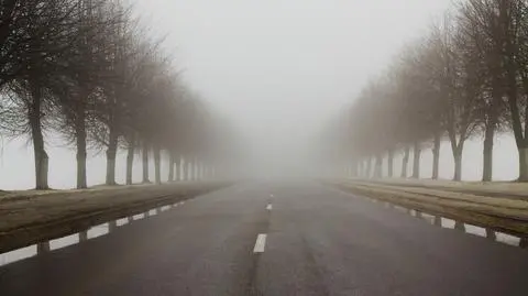 W kilku regionach pojawiły się mgły