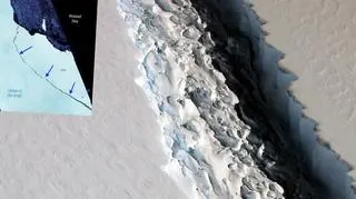 Od lodowca Larsena oderwała się wielka góra lodowa