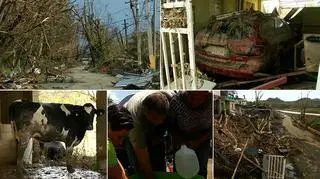 Trwa szukanie żywych w gruzach po trzęsieniu ziemi w Meksyku 