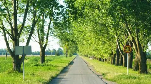 Na drogach będą panować dobre warunki do jazdy