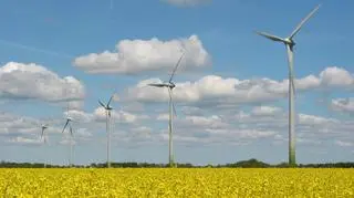 Elektrownia wiatrowa