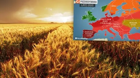 Amerykańskie prognozy na lato 2020 w Europie