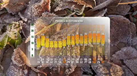 Druga część października: temperatura nie przekroczy 17 st. Celsjusza