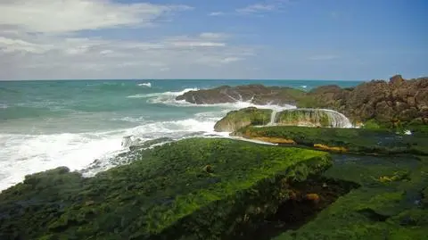 Pacyfik pełen cennych pierwiastków