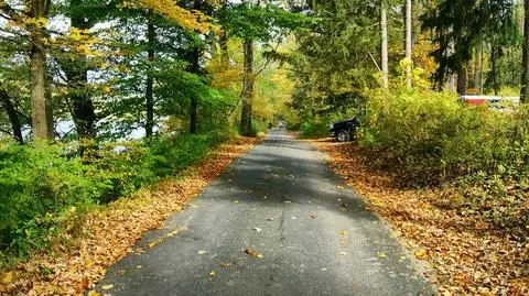 Po porannych mgłach nadejdzie pogodny dla kierowców dzień