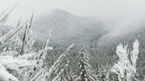 Prognoza pogody na dziś:  południe Polski całe na biało