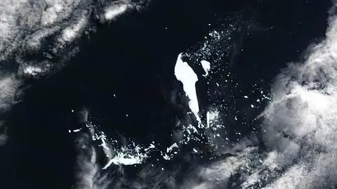 Ogromny kawał góry lodowej wpłynął na ciepłe wody