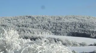 Turyści zgubili się  w jedym z bieszczadzkich lasów 
