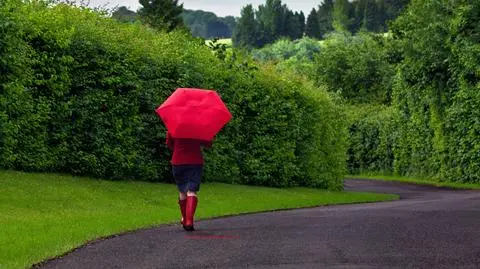 Prognoza pogody na dziś: koniec błękitnego nieba. Do Polski wkracza deszczowy front