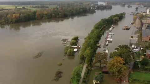 Wylewa Odra w Lubuskiem, podtopione piwnice. Alerty hydrologiczne