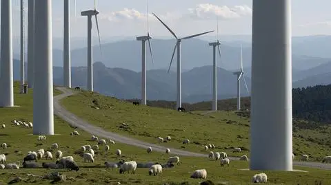 Farmy wiatrowe oszukują synoptyków. Zakłócają pracę radarów pogodowych