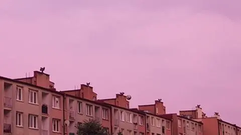 Zachód słońca jak przez różowe okulary