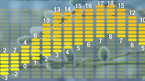 Prognoza pogody na 16 dni: najpierw zimowo, potem w końcu wiosna