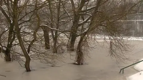 Narew miejscami podtopiła Pułtusk