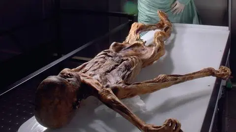 Człowiek Lodu przyszedł z Europy Środkowej