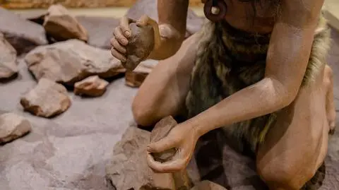 Zbadano ząb neandertalczyka