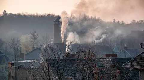 Dużym problemem są kominki i piece