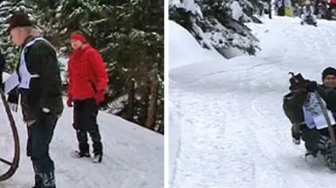 Zjazd saniami rogatymi 