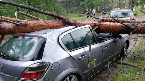 "Delikatna chmurka przyszła", a potem "same szkody, same straty"