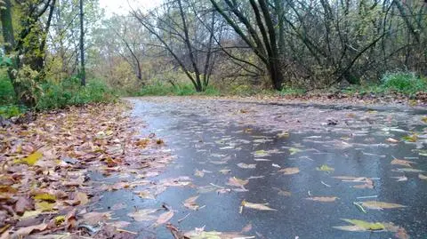 Niebezpiecznie na drogach w całym kraju