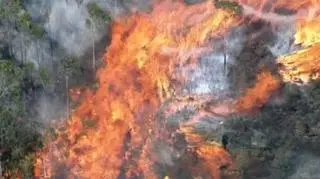 Tak płonie Katoomba