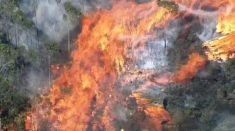 Tak płonie Katoomba