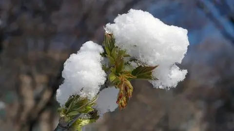 Na północy Polski może padać śnieg