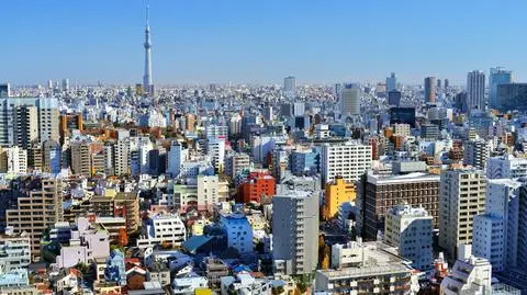 6,9 w skali Richtera. W Tokio zakołysały się wieżowce