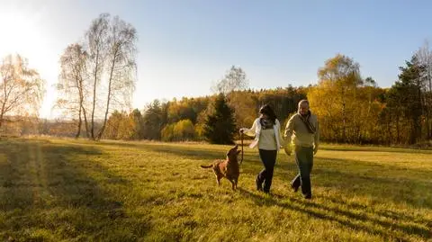 Tegoroczna jesień jest wyjątkowo ciepła