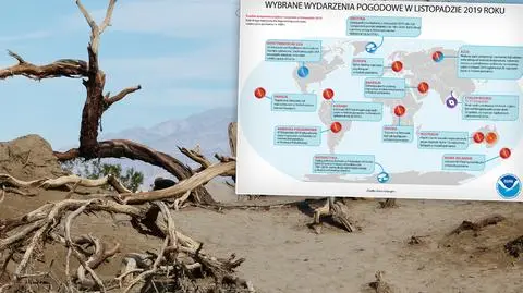 Tegoroczny listopad był wyjątkowo ciepły 