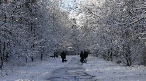 Prognoza pogody na dziś: wszędzie poprószy, ale wyjdzie też słońce