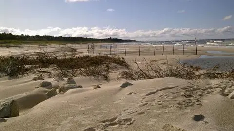 Piasek na plaży w Łebie