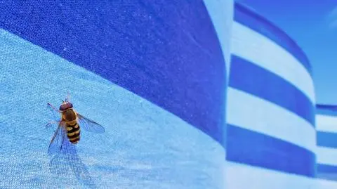 Będzie słonecznie i ciepło