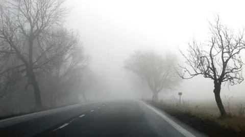 Występują mgły