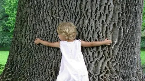 Chcesz lepiej się poczuć? Jedź do lasu!