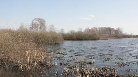 Dzień będzie pogodny