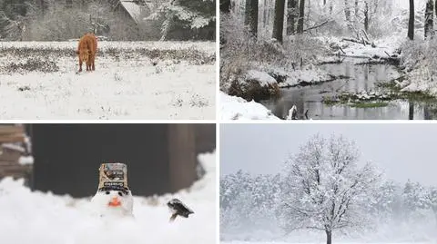 Na Podlasiu nastała zima. Miejscami spadło nawet 25 cm śniegu
