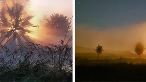 "Promienie słoneczne przechodzące przez gałęzie wytworzyły piękne widoki"