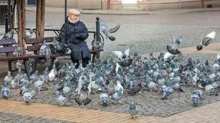 Zimowe Ptakoliczenie w ostatni weekend stycznia