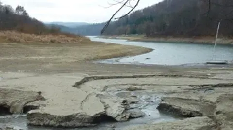 Polska walczy z suszą