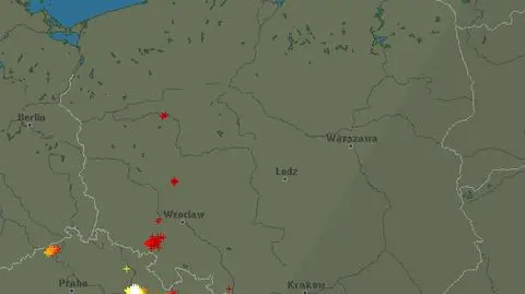 Wyładowania nad Polską - godz