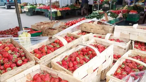 Pierwsze polskie truskawki. Niewiele, mało dojrzałe i powalają ceną