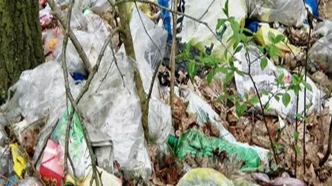 Po wakacjach czas na sprzątanie lasów