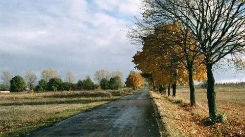 W Gdańsku może spaść deszcz ze śniegiem
