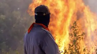 Pożar na wyspie Bracz ugaszony