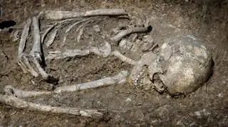 Był blondynem i miał niebieskie oczy...